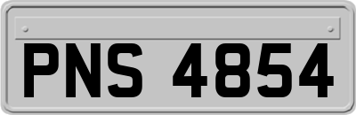 PNS4854