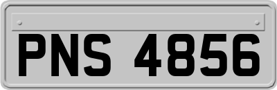 PNS4856
