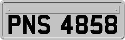 PNS4858