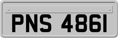 PNS4861