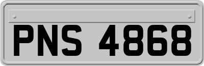PNS4868