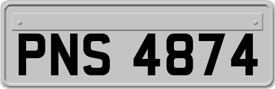 PNS4874