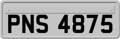 PNS4875