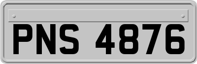 PNS4876