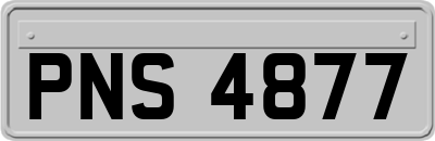 PNS4877
