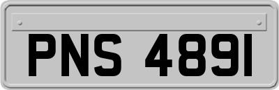 PNS4891