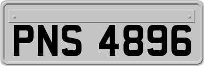 PNS4896