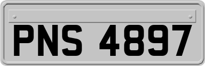 PNS4897