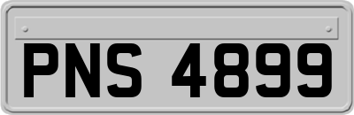 PNS4899