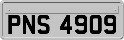 PNS4909