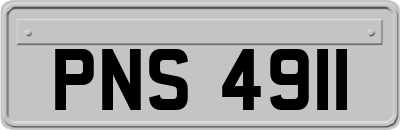 PNS4911