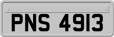 PNS4913