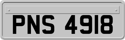 PNS4918