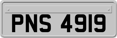 PNS4919
