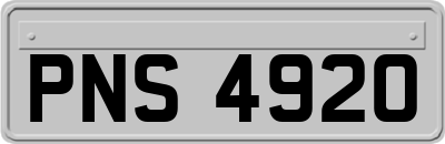 PNS4920