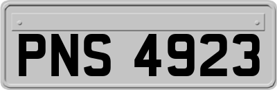 PNS4923