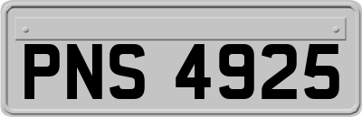 PNS4925
