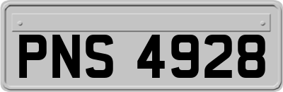 PNS4928