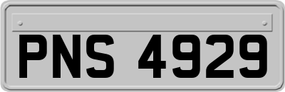 PNS4929