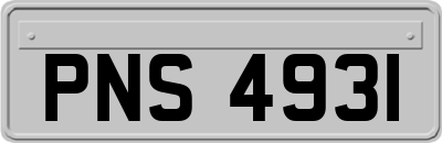 PNS4931