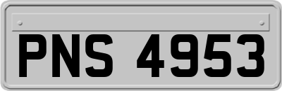 PNS4953