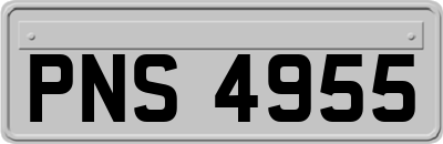 PNS4955