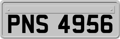 PNS4956