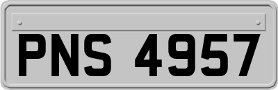 PNS4957