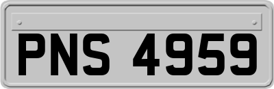 PNS4959