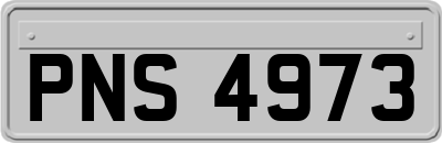 PNS4973