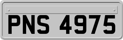 PNS4975