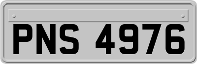 PNS4976