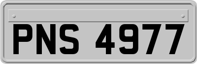 PNS4977