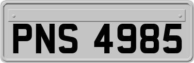 PNS4985