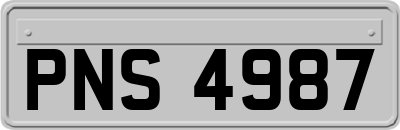PNS4987