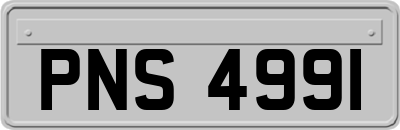PNS4991