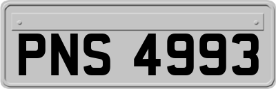 PNS4993