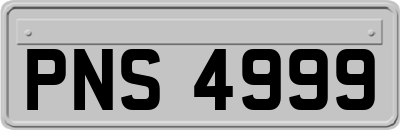 PNS4999