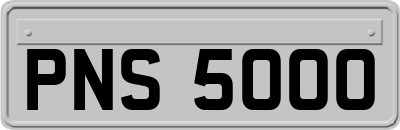 PNS5000