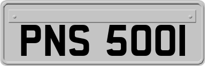 PNS5001
