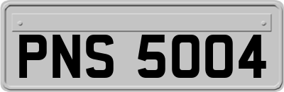 PNS5004