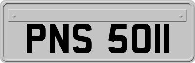 PNS5011