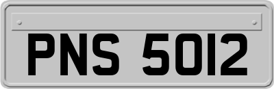 PNS5012