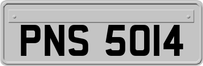 PNS5014