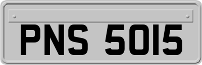 PNS5015