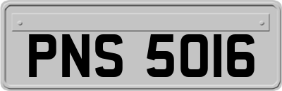 PNS5016