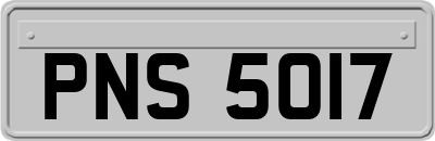 PNS5017