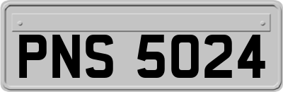PNS5024