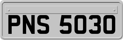 PNS5030