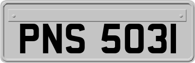 PNS5031